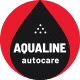 Aqualine – Car Washing Service with Booking System WordPress Theme