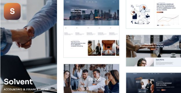 Solvent - Accounting and Finance WordPress Theme