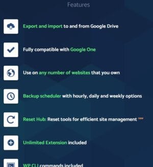 All-in-One WP Migration Google Drive Extension