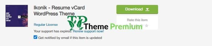 Ikonik - Resume vCard WordPress Theme 2 Ikonik - Resume vCard WordPress Theme - Image 2